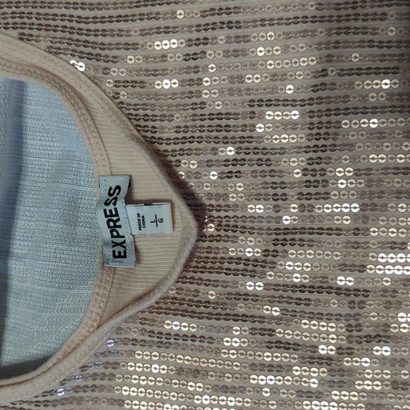 Champagne tank top with sequins Express sz L - Picture 2 of 2